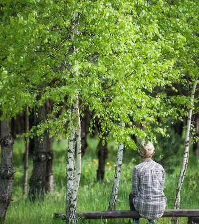 Agroturystyka Orlik 农家乐 *